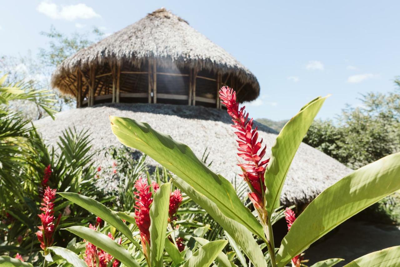 Dreamsea Surf Resort Nicaragua San Juan del Sur Zewnętrze zdjęcie